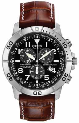 Citizen Perpetual Calendar Chronograph BL5250-02L Citizen Perpetual Calendar Chronograph BL5250-02L