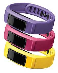 Garmin Canary, Pink, Violet Vivofit 2 Bands L 010-12336-04 Garmin Canary, Pink, Violet Vivofit 2 Bands L 010-12336-04